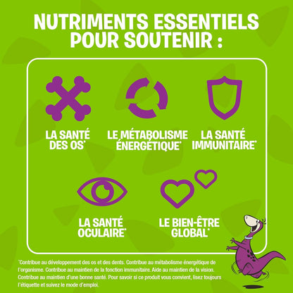 FLINTSTONES 兒童複合維生素軟糖 - 兒童複合維生素，兒童複合維生素軟糖有助於保持身體健康，不含人工甜味劑、阿斯巴甜、合成 FD&C 色素，60 粒軟糖