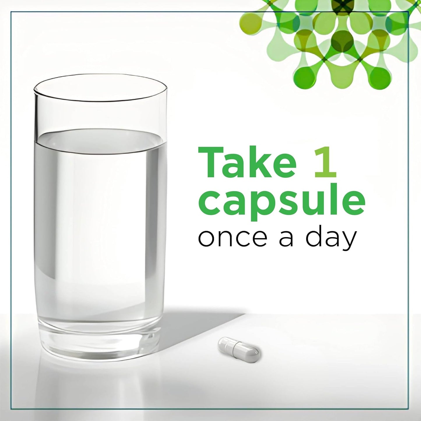 PlantVital Organic Milk Thistle Extract Capsules - Made in Canada - Vegan - 80% Silymarin Flavonoids - Can support liver function and digestive disturbances - Non-GMO - 3 Months Supply - 90 Capsules