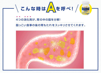 太田胃散A（片剂）45片