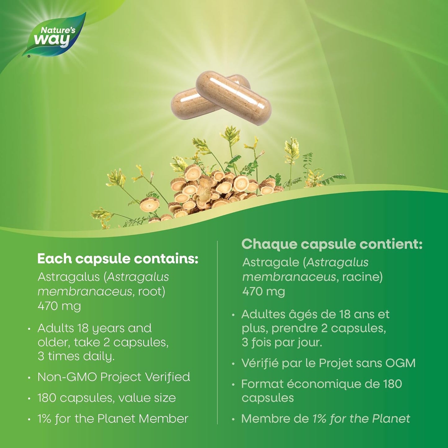 Nature's Way 黄芪根，免疫系统支持，超值装，180 粒素食胶囊