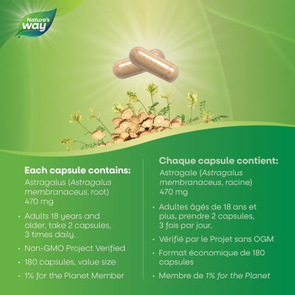 Nature's Way 黄芪根，免疫系统支持，超值装，180 粒素食胶囊
