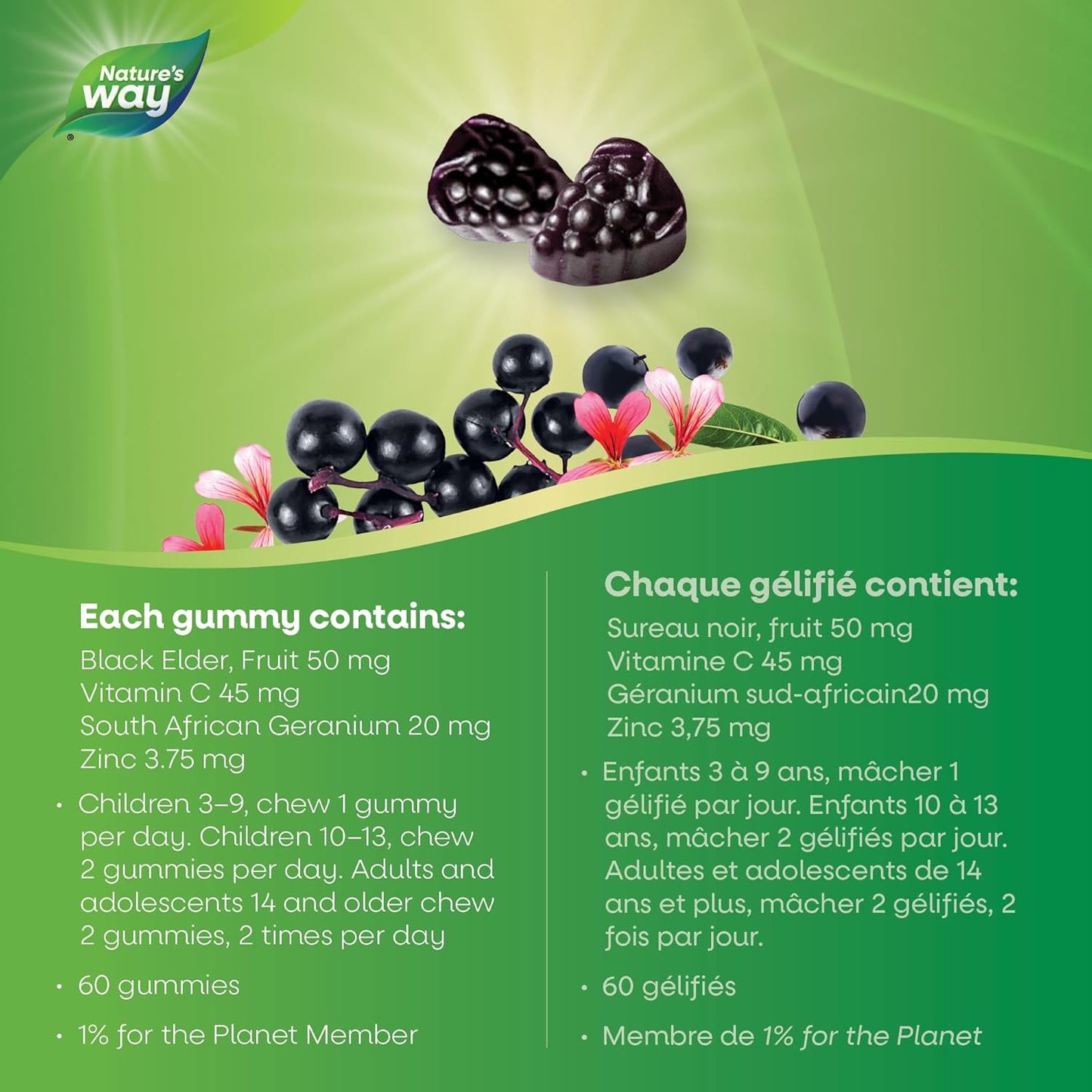 Nature's Way 接骨木感冒和流感缓解原味接骨木软糖 – 用于草药，帮助缓解成人症状（咳嗽、流鼻涕和喉咙痛），60 粒软糖