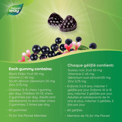 Nature's Way 接骨木感冒和流感缓解原味接骨木软糖 – 用于草药，帮助缓解成人症状（咳嗽、流鼻涕和喉咙痛），60 粒软糖