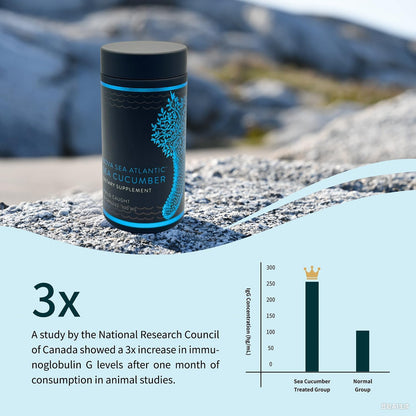 Nova Sea 大西洋野生海参补充剂胶囊，抗氧化健康能量补充剂，含岩藻糖基化硫酸软骨素、胶原蛋白糖苷、维生素、矿物质