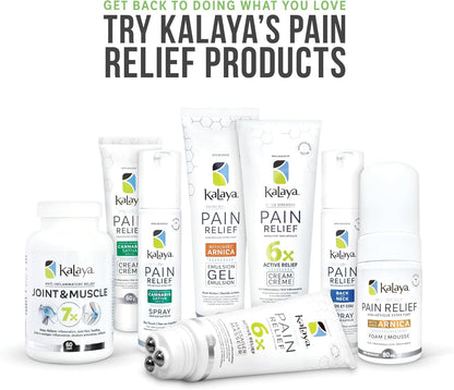 KaLaya 大麻籽油止痛喷雾 - 快速起效和快速干燥喷雾，可缓解关节炎、背痛、关节痛和肌肉痛引起的疼痛（60 毫升（1 包））
