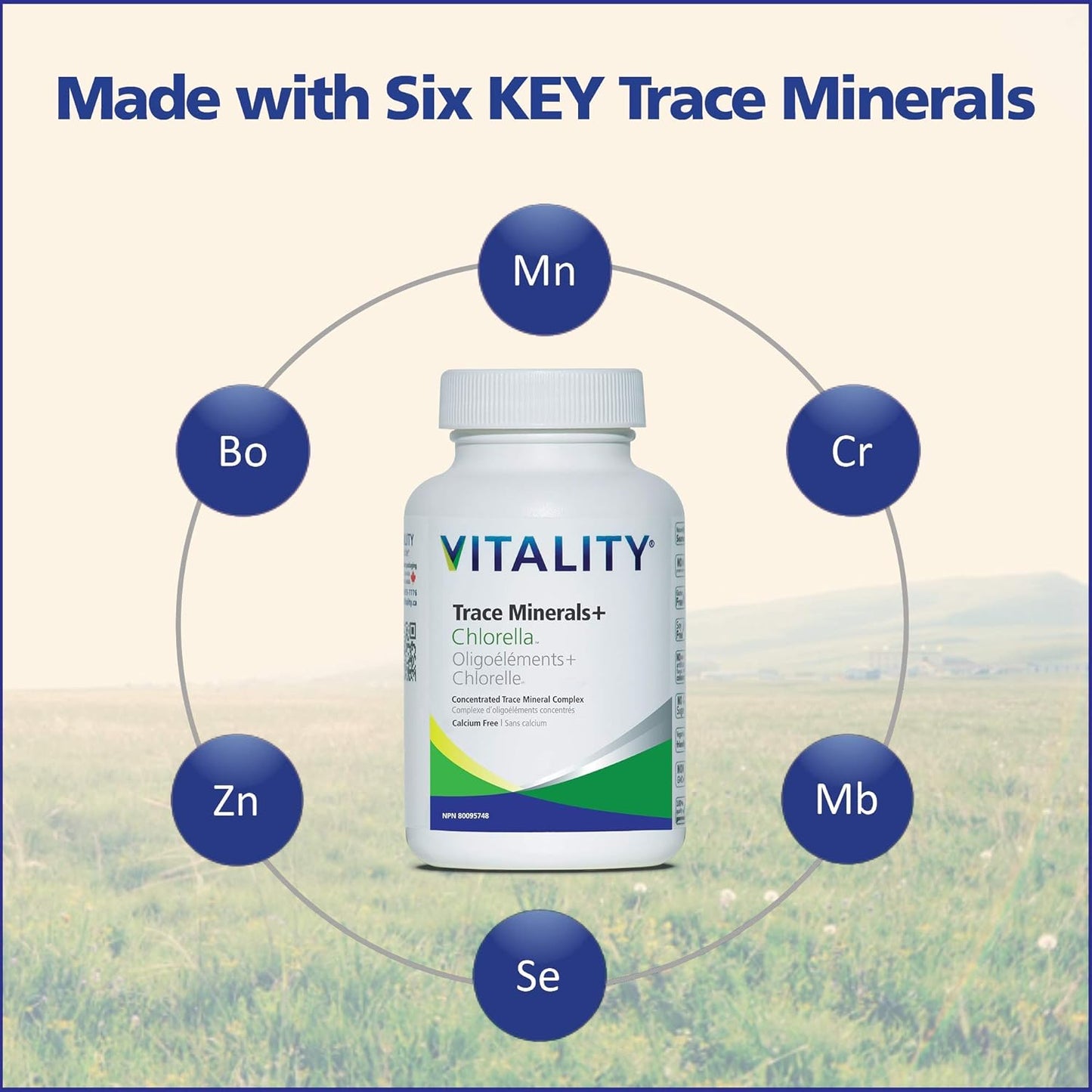 VITALITY 微量礦物質 + 小球藻 | 90 粒植物膠囊（90 天）
