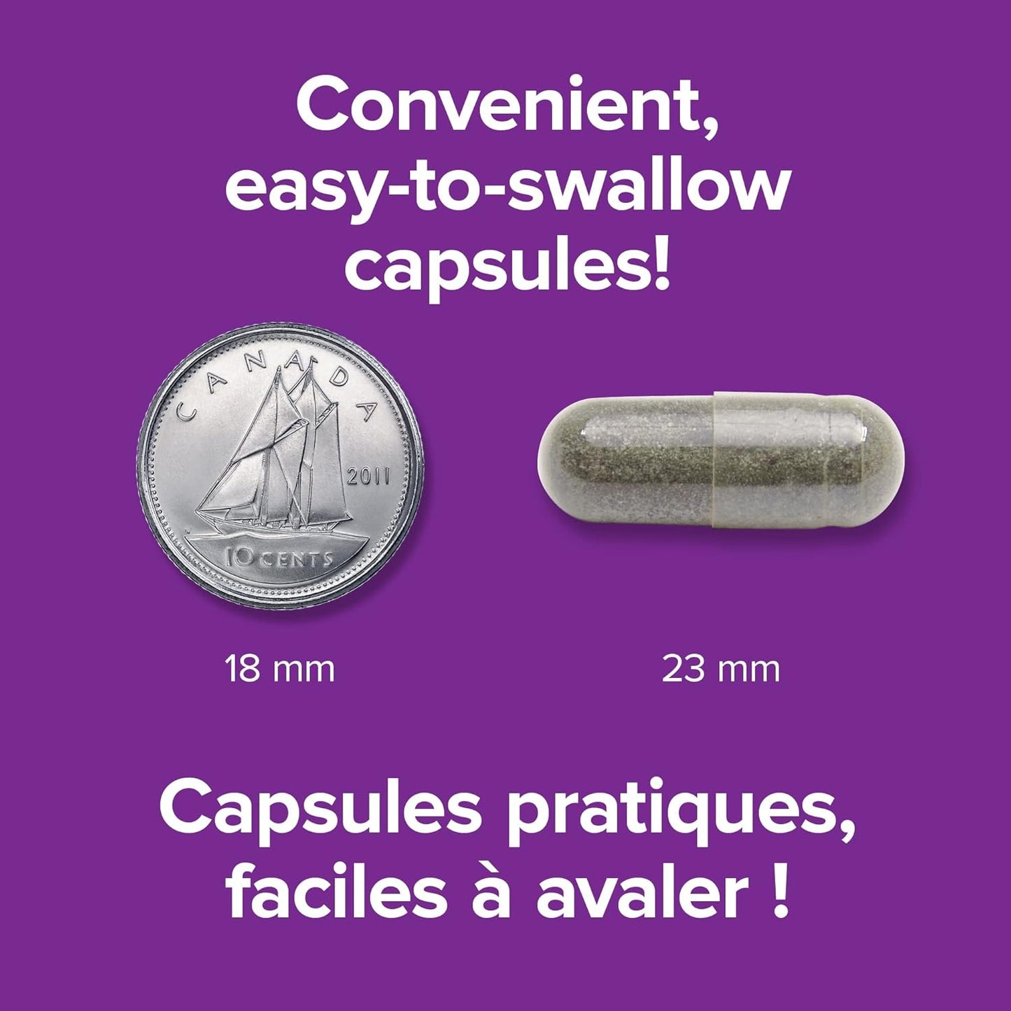 Webber Naturals 圣约翰草提取物胶囊，300 毫克，90 粒