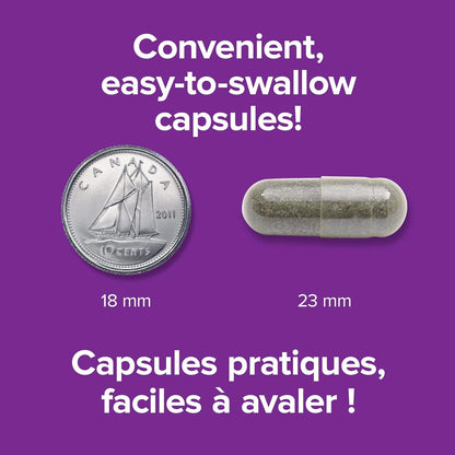 Webber Naturals 圣约翰草提取物胶囊，300 毫克，90 粒