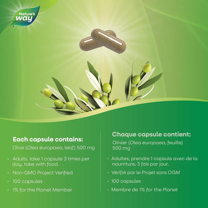 Nature's Way 橄榄叶胶囊 - 抗氧化剂，用于维护整体健康 - 每粒胶囊含 500 毫克橄榄叶，100 粒素食胶囊