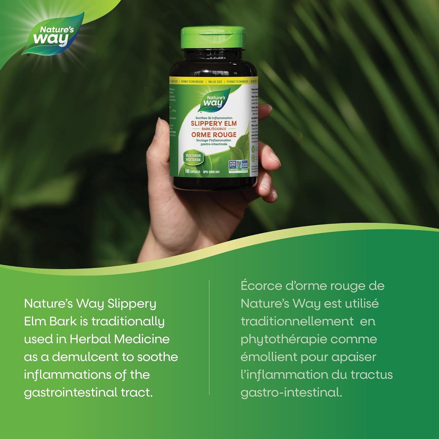 Nature's Way 榆树皮提取物 – 舒缓胃肠道 (GI) 炎症的草本补充剂 – 非转基因，180 粒素食胶囊，超值装