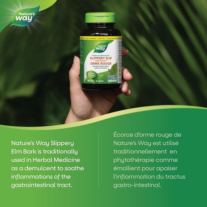 Nature's Way 榆树皮提取物 – 舒缓胃肠道 (GI) 炎症的草本补充剂 – 非转基因，180 粒素食胶囊，超值装