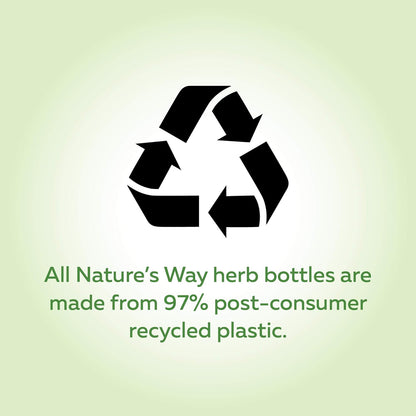 Nature's Way Wild Yam Root Capsules - Relieve Abdominal and Menstrual Pain Relief – Women’s Health - Premium Herbal Supplement - Non-GMO - 100 Vegetarian Capsules