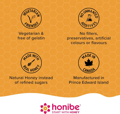 Honibe 褪黑素睡眠支持软糖 | 加拿大制造的蜂蜜软糖 | 夜间睡眠辅助 | 天然睡眠辅助剂，有助于缓解压力 | 褪黑素软糖有助于支持健康的睡眠辅助 | 睡眠软糖 | 70 粒软糖