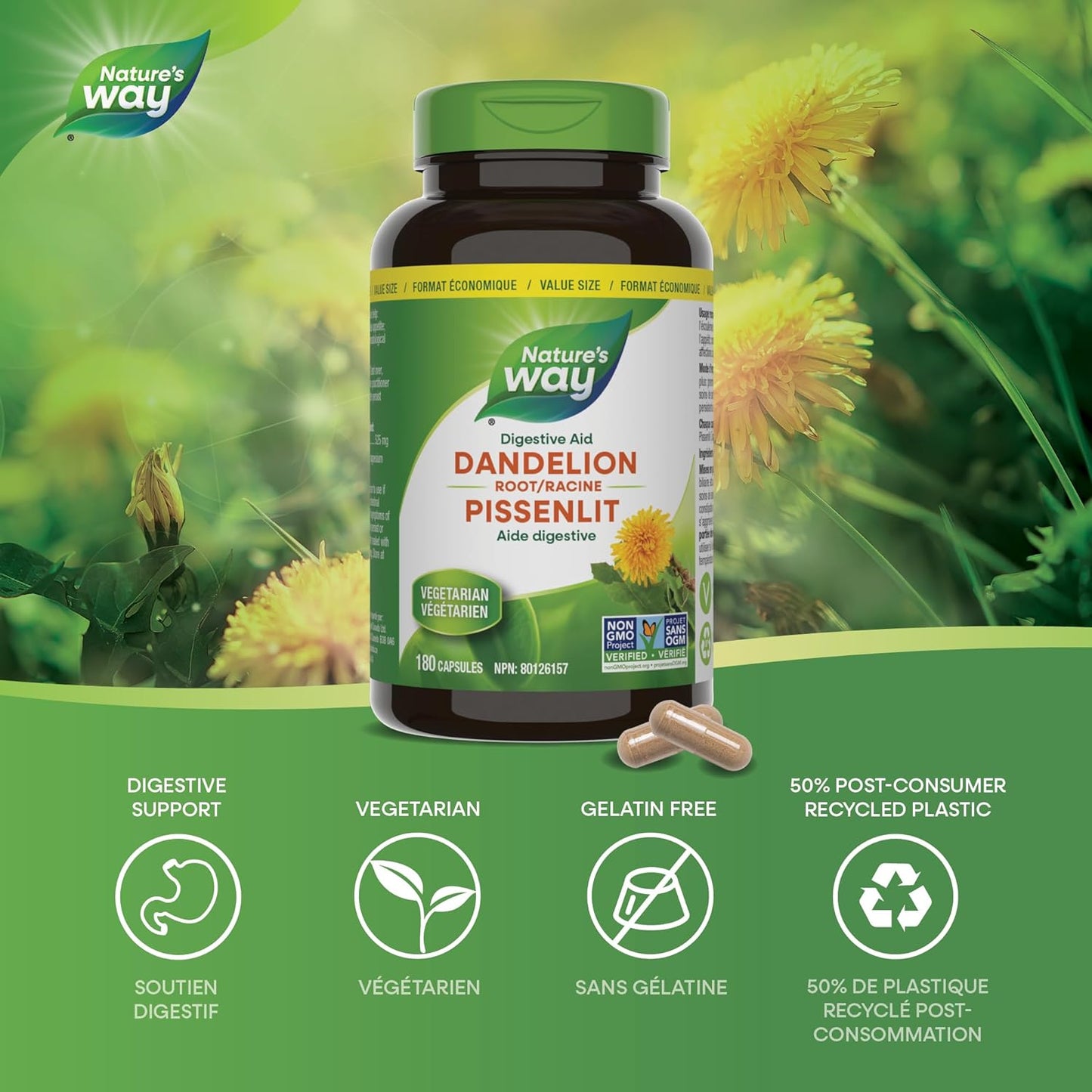 Nature's Way 蒲公英根 - 消化补充剂 - 利尿泻药 - 非转基因认证 - 180 粒素食胶囊，超值装