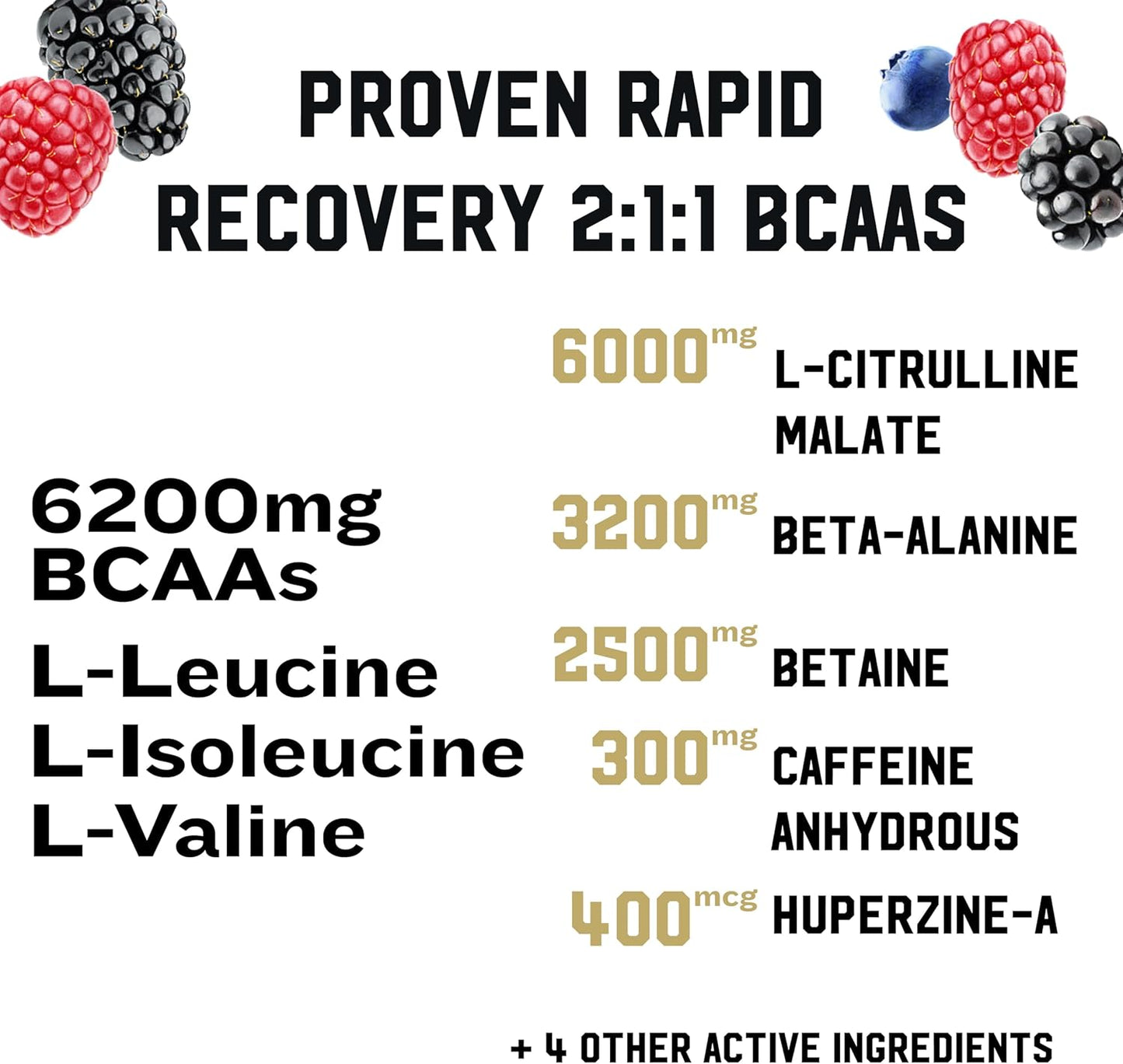 IRON KINGDOM BCAA PLUS WILD BERRY 10.1克 胺基酸、電解質、麩醯胺酸、耐力、恢復、補水