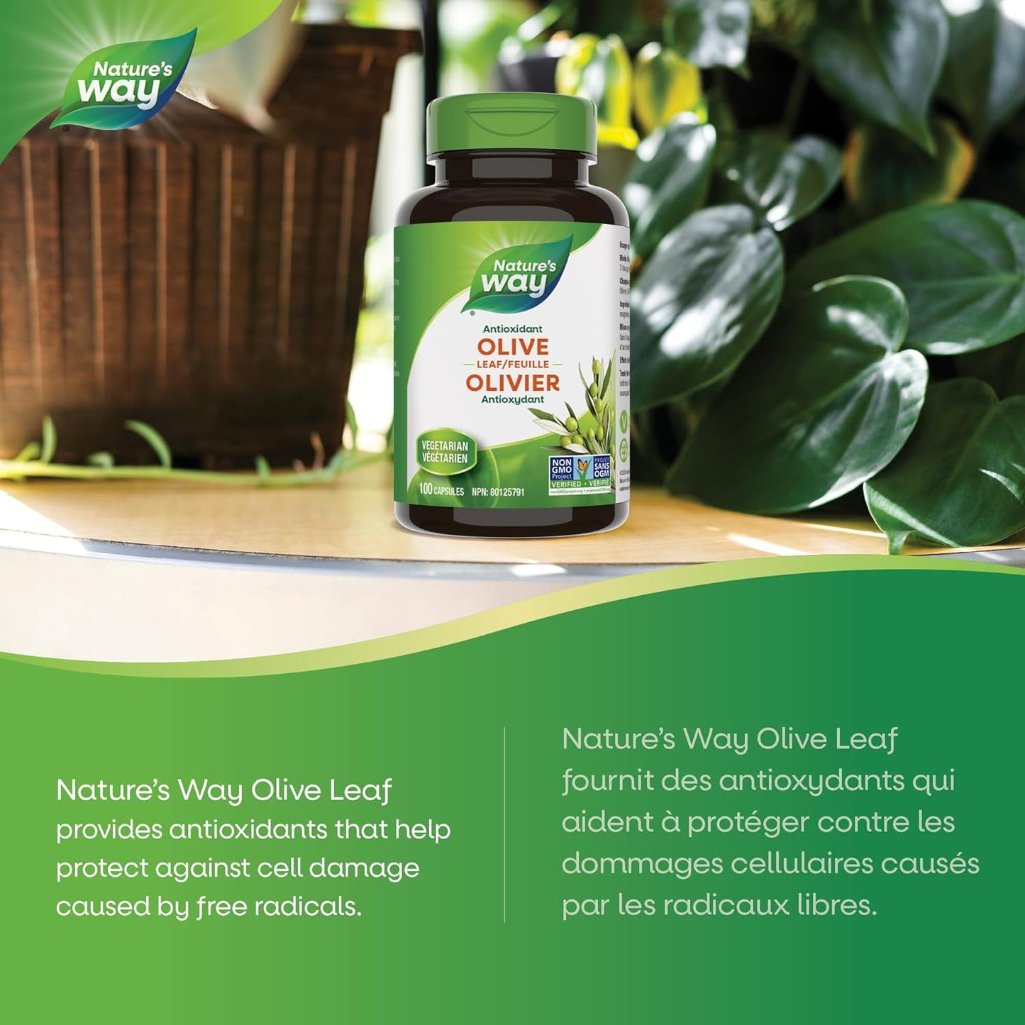 Nature's Way 橄榄叶胶囊 - 抗氧化剂，用于维护整体健康 - 每粒胶囊含 500 毫克橄榄叶，100 粒素食胶囊