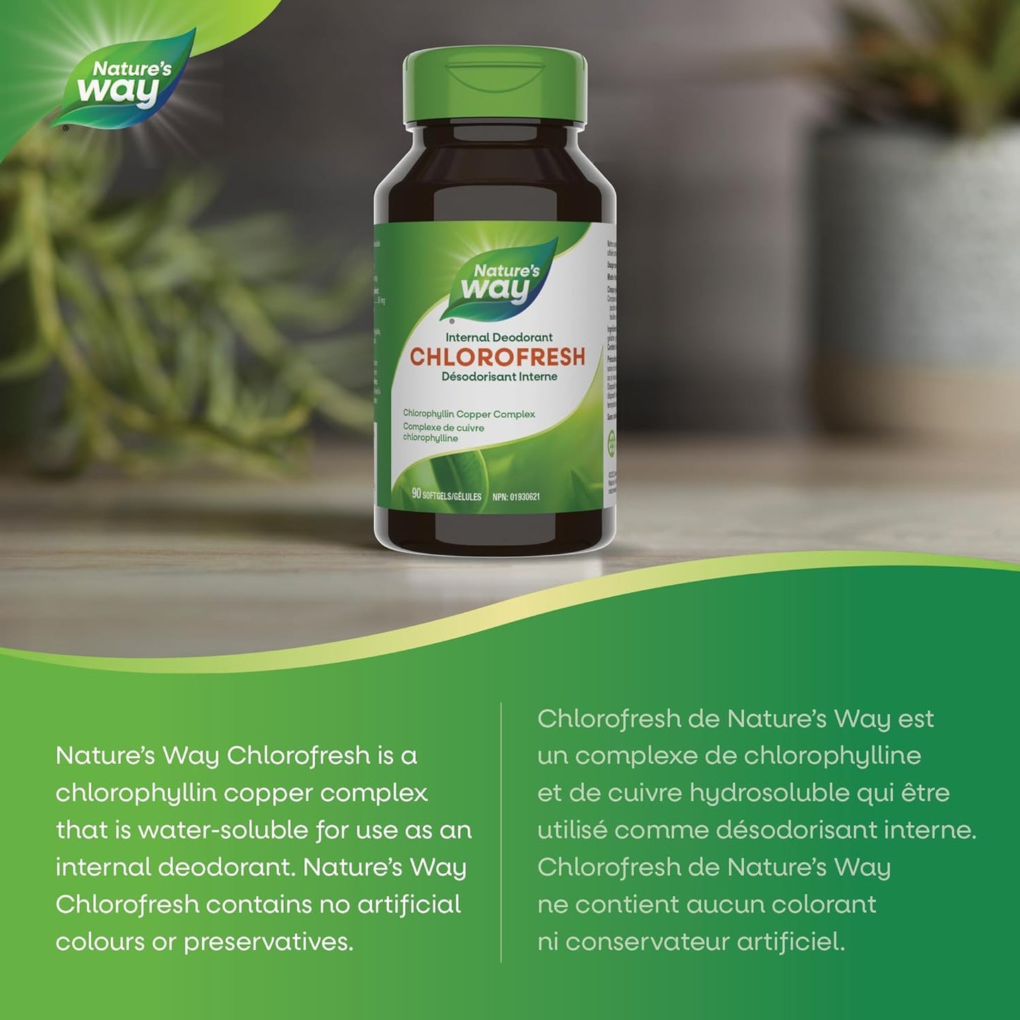 Nature's Way Premium Chlorofresh Softgels - Water-Soluble Chlorophyllin Copper Complex, Internal Deodorant, 90 Softgel Capsules
