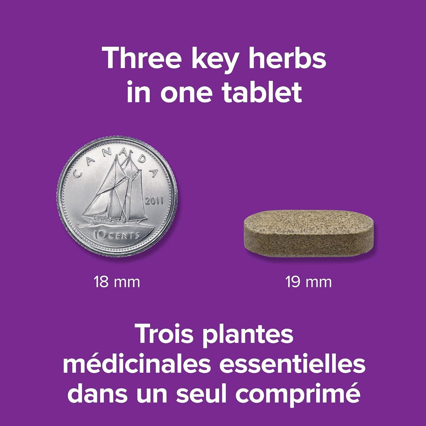 Webber Naturals 超级睾酮促进剂，45 片，含 Testofen 胡芦巴、玛卡、南非醉茄、锌和硼，男性健康支持，纯素