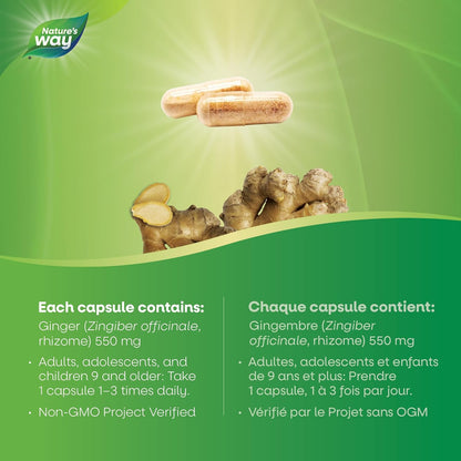 Nature's Way Ginger Root – Traditional Digestive Support Supplement – Helps Relieve Digestive Upset – Gluten Free, Vegetarian, Non-GMO – 100 Capsules