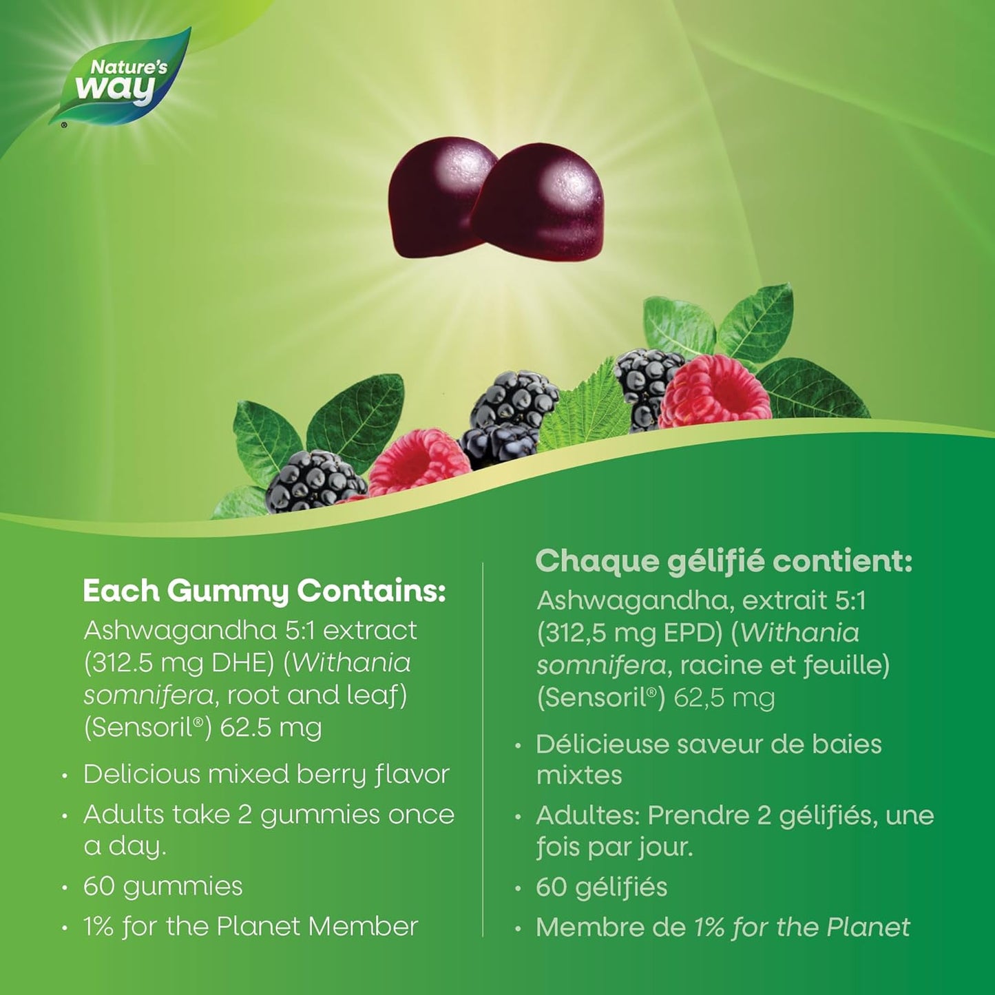 Nature’s Way 舒缓压力南非醉茄软糖 – 成人压力缓解补充剂 – 经临床研究，Sensoril® 南非醉茄，减轻压力症状，天然混合浆果口味，60 粒素食软糖