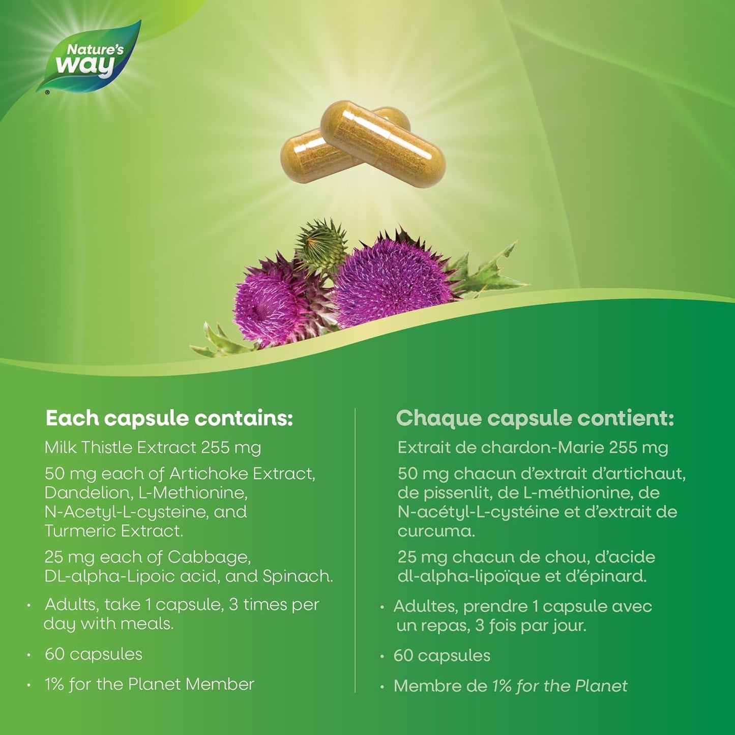 Nature's Way Super Thisilyn 健康补充剂 – 奶蓟提取物，支持肝功能 – 抗氧化剂来源 – 60 粒素食胶囊