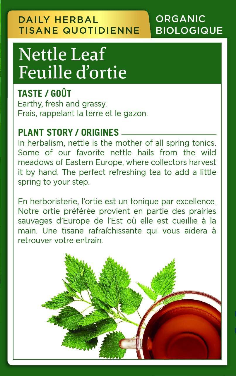Traditional Medicinals - Organic Nettle Leaf Herbal Tea (Pack of 6) - Sustainably Sourced Fair Wild Nettle - 96 Tea Bags Total