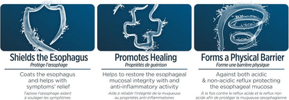 EsopH® 胃酸倒流緩解 | 有效緩解胃灼熱症狀並保護食道 | 單劑量液體凝膠棒 | 10毫升小袋，20支裝