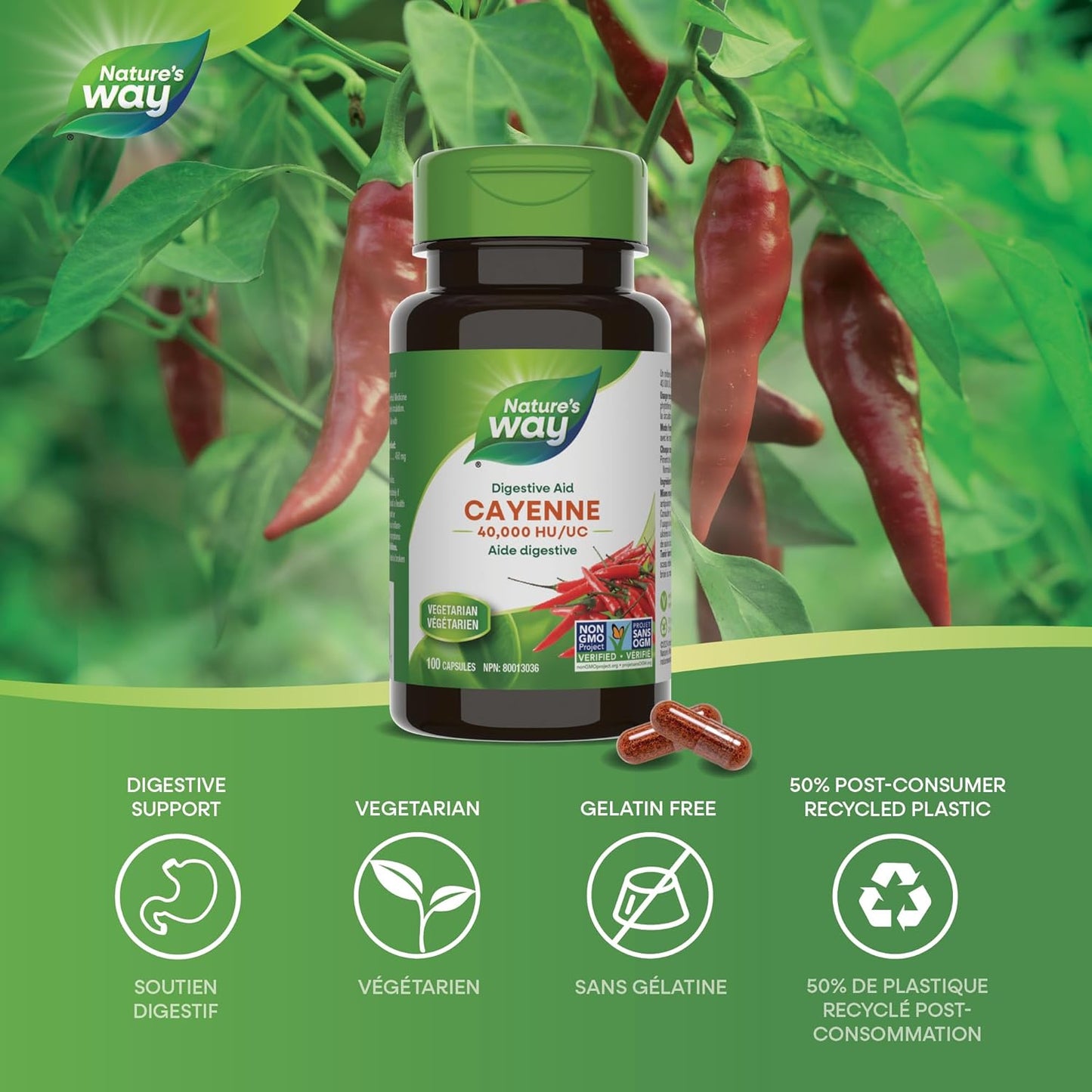Nature's Way Cayenne Pepper 40,000 HU, 450 mg per serving, 100 Vegetarian Capsules ( 1 Pack)