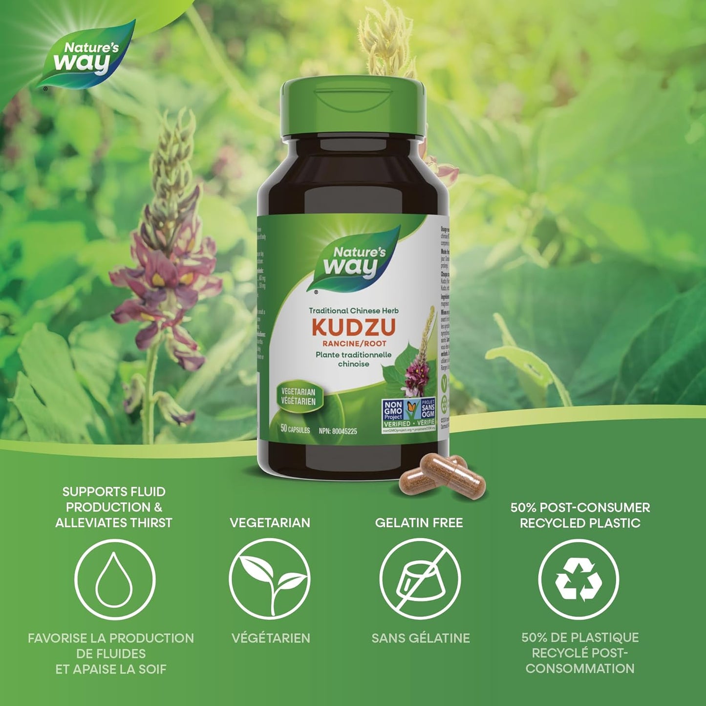 Nature's Way 葛根健康補充劑 – 優質草本補充劑 - 非基因改造項目認證，50 粒素食膠囊