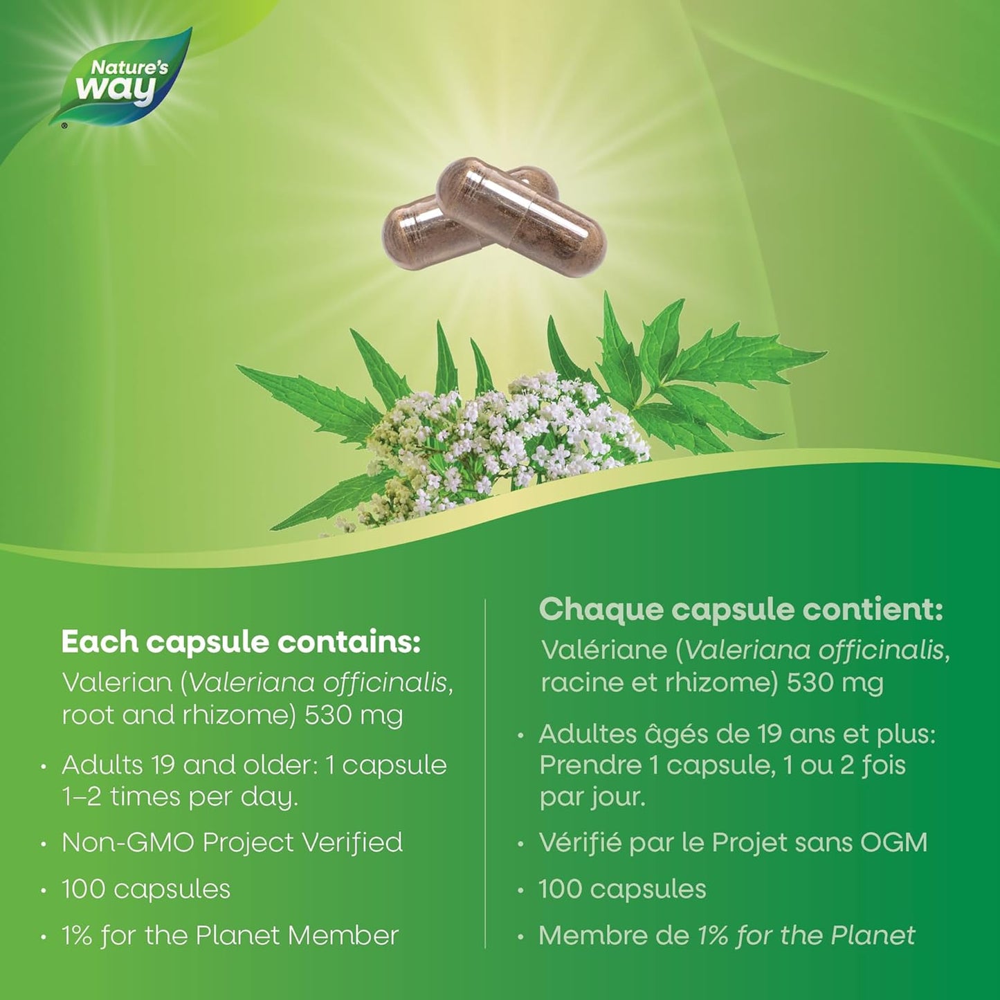 Nature's Way 缬草根助眠剂 - 促进睡眠 - 帮助缓解烦躁 - 100 粒素食胶囊