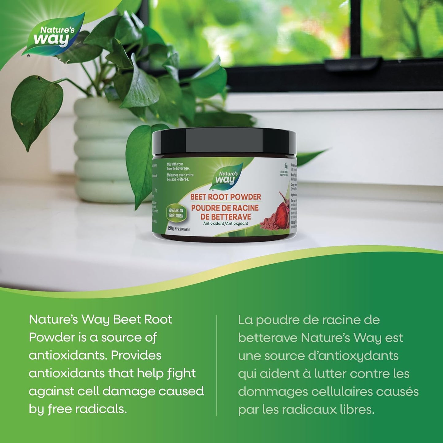 Nature's Way Premium Beet Root Powder - Antioxidant Support, Effortlessly Mixable, Vegan-Friendly & Gluten-Free Supplement - 150g (50 servings)
