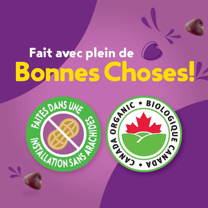 ANNIE'S 巧克力碎燕麦棒，有机，无人工香料，全谷物，5 包燕麦棒