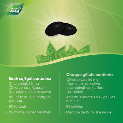 Nature's Way Premium Chlorofresh Softgels - Water-Soluble Chlorophyllin Copper Complex, Internal Deodorant, 90 Softgel Capsules