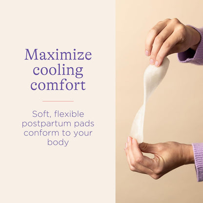 Lansinoh 产后冷却垫，会阴冰袋，12 片装，金缕梅产后护理垫，产后必备垫，含清凉舒缓芦荟