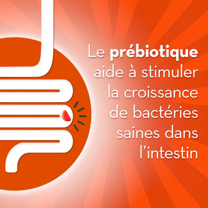 Align 肠道健康与免疫益生元 + 益生菌软糖，男女适用，有助于维持身体健康和免疫功能，柑橘味，50 粒