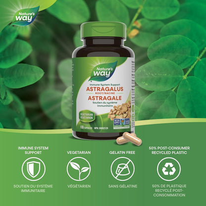 Nature's Way 黄芪根，免疫系统支持，100 粒素食胶囊