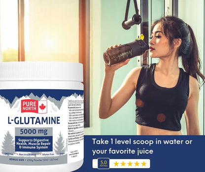 Pure North Naturals - L-谷氨酰胺 5000 毫克，250 克粉劑，50 份 - 腸道健康和消化健康 - 支持肌肉修復和支持免疫系統 - 經第三方測試 - 加拿大配製和製造