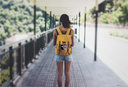 Noble Jerky – Vegan Jerky Snacks, Plant-Based High Protein Snack, 14g Protein Per Bag, Vegetarian, Non-GMO, Healthy Snack Variety Pack (Original, BBQ, Teriyaki, Chipotle), 4 Pack (70g Bags)