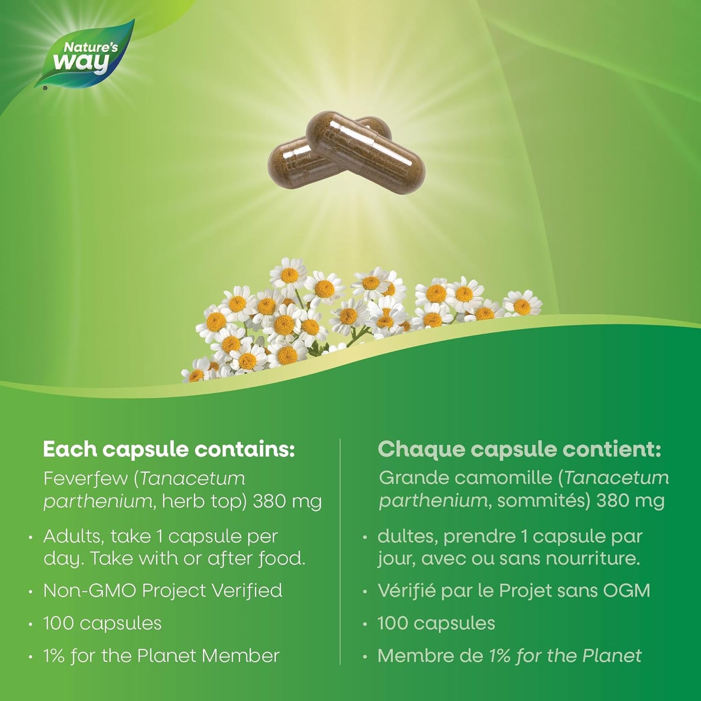 Nature's Way Feverfew Leaves, Helps Relieve Headaches, 380mg of Feverfew herb per capsule, 100 Vegetarian Capsules