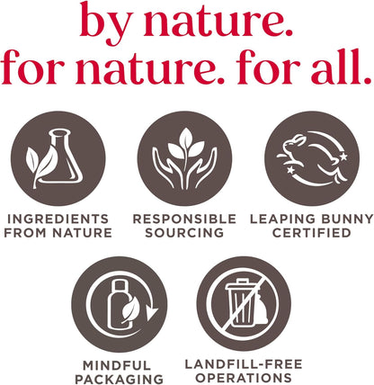 Burt's Bees 丰唇精华，蕴含 100% 天然乳木果油 + 透明质酸 | 丰唇膏，令双唇柔软亮泽 | 1 支装 - 透明