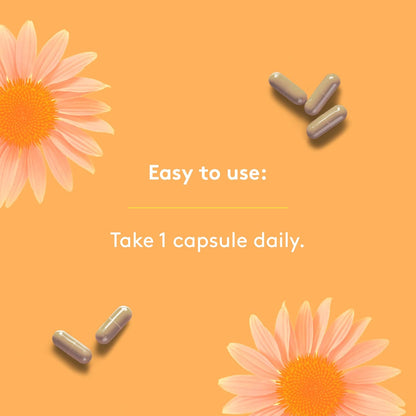 HEAL + CO. 紫锥菊补充剂 | 高效 10:1 提取物，每份 5000 毫克 | 免疫支持 | 120 x 500 毫克胶囊