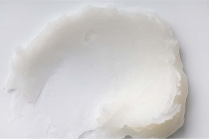 Burt's Bees 100% 天然保湿润唇膏，椰子和梨味，2 支装