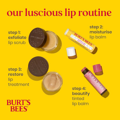Burt's Bees 100% 天然保湿润唇膏，适用于干裂嘴唇，唇部护理，柔软光滑双唇，1 支装 - 生日蛋糕