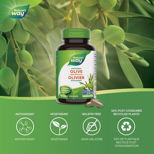 Nature's Way Olive Leaf Capsules - Antioxidant For Maintenance of General Health - 500mg of Olive Leaf per Capsule, 100 Vegetarian Capsules