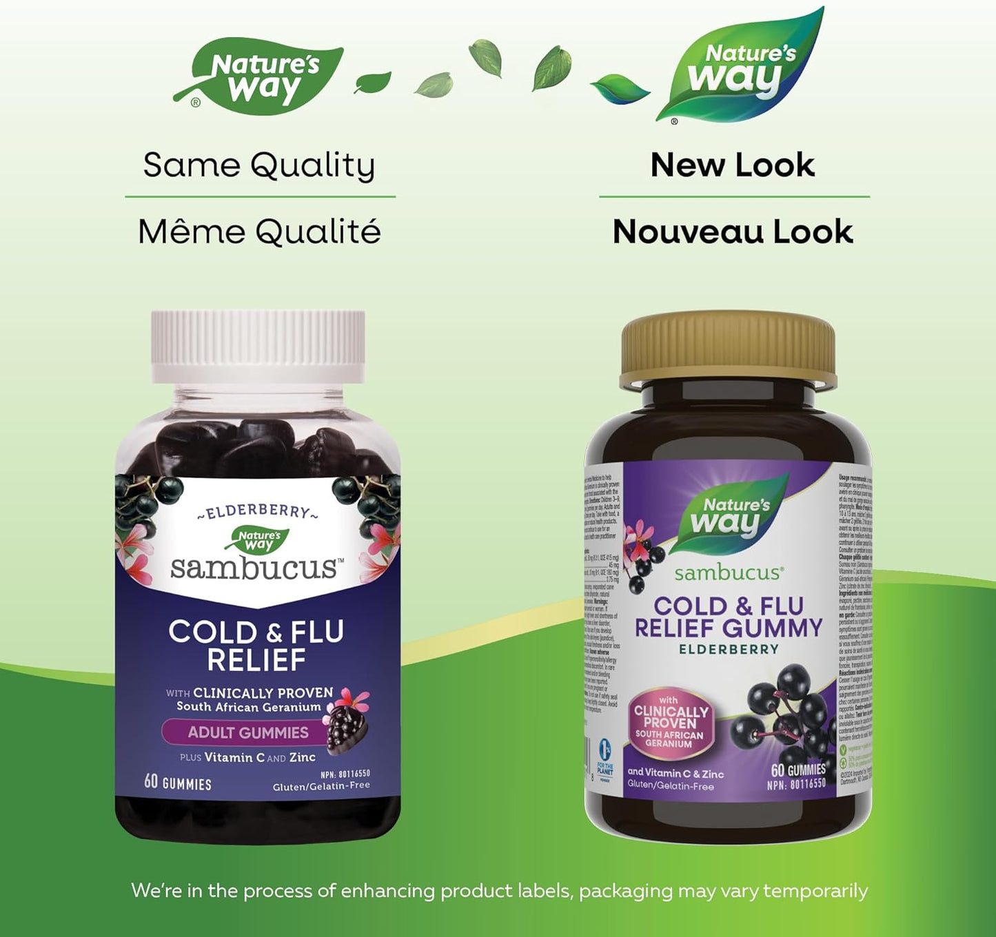 Nature's Way 接骨木感冒和流感缓解原味接骨木软糖 – 用于草药，帮助缓解成人症状（咳嗽、流鼻涕和喉咙痛），60 粒软糖