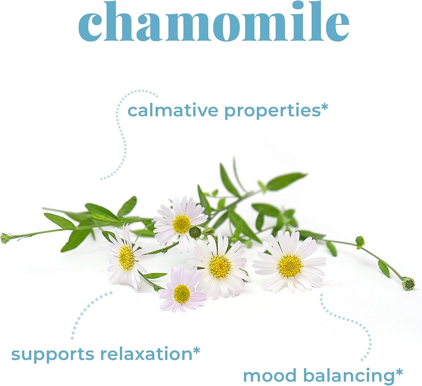 Doseology，睡眠，灵芝、洋甘菊和褪黑激素提取物，子实体蘑菇酊剂，有助于减少入睡时间，促进休息和放松，100 毫升（一个月用量）