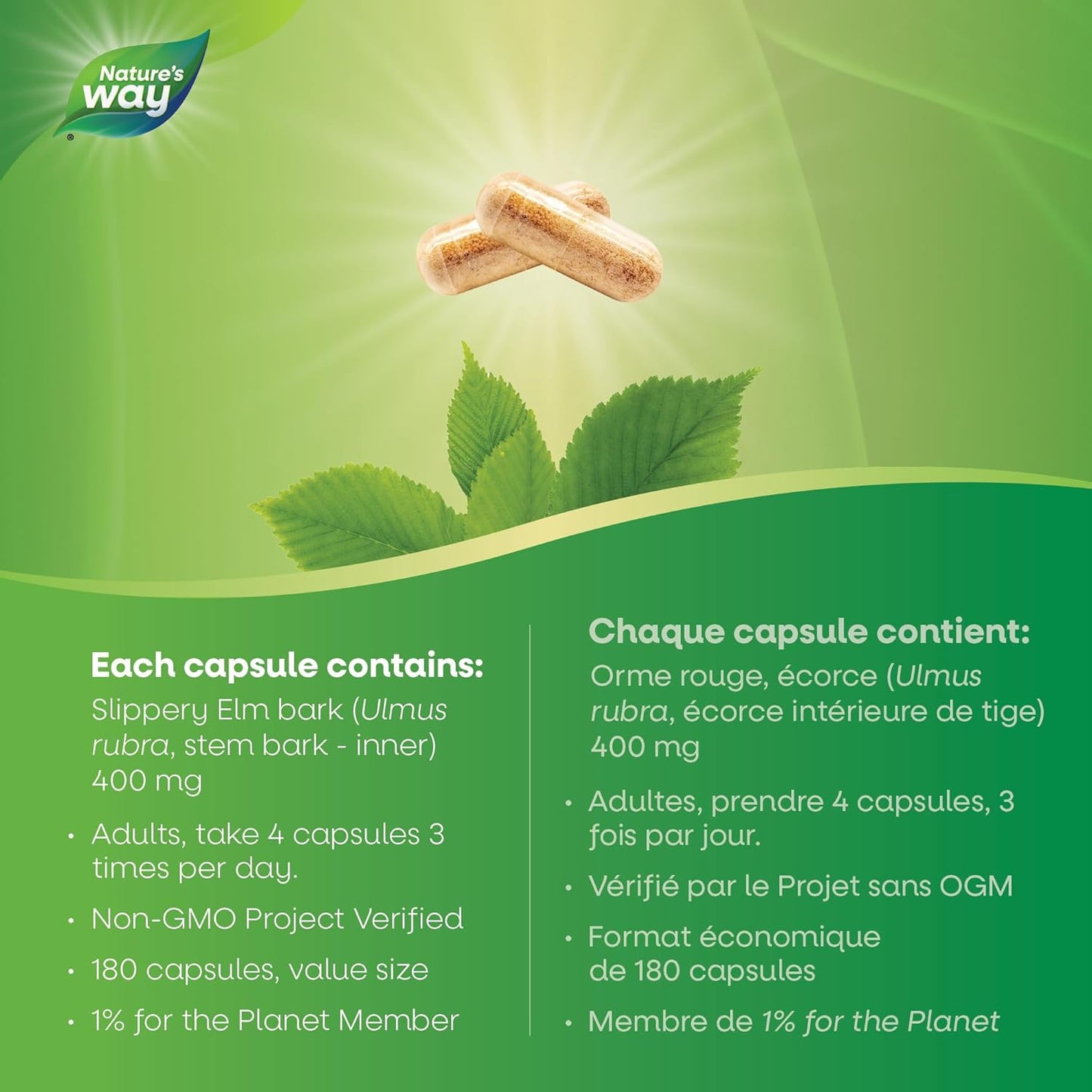 Nature's Way 榆树皮提取物 – 舒缓胃肠道 (GI) 炎症的草本补充剂 – 非转基因，180 粒素食胶囊，超值装