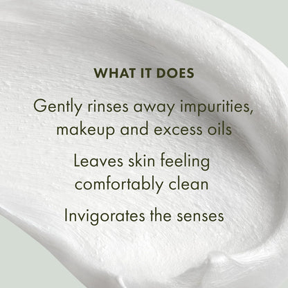 Origins Checks and Balances Frothy Face Wash | Gentle Face Cleanser for All Skin Types | With Mint