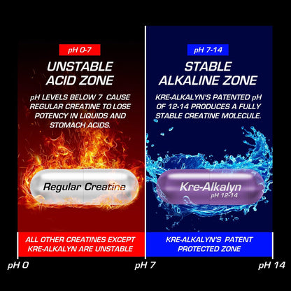 EFX Sports Kre-Alkalyn | PH 值校正肌酸一水合物 | 多项专利配方，增强力量，锻炼肌肉，提升运动表现，不腹胀，不积水 - 192 粒胶囊
