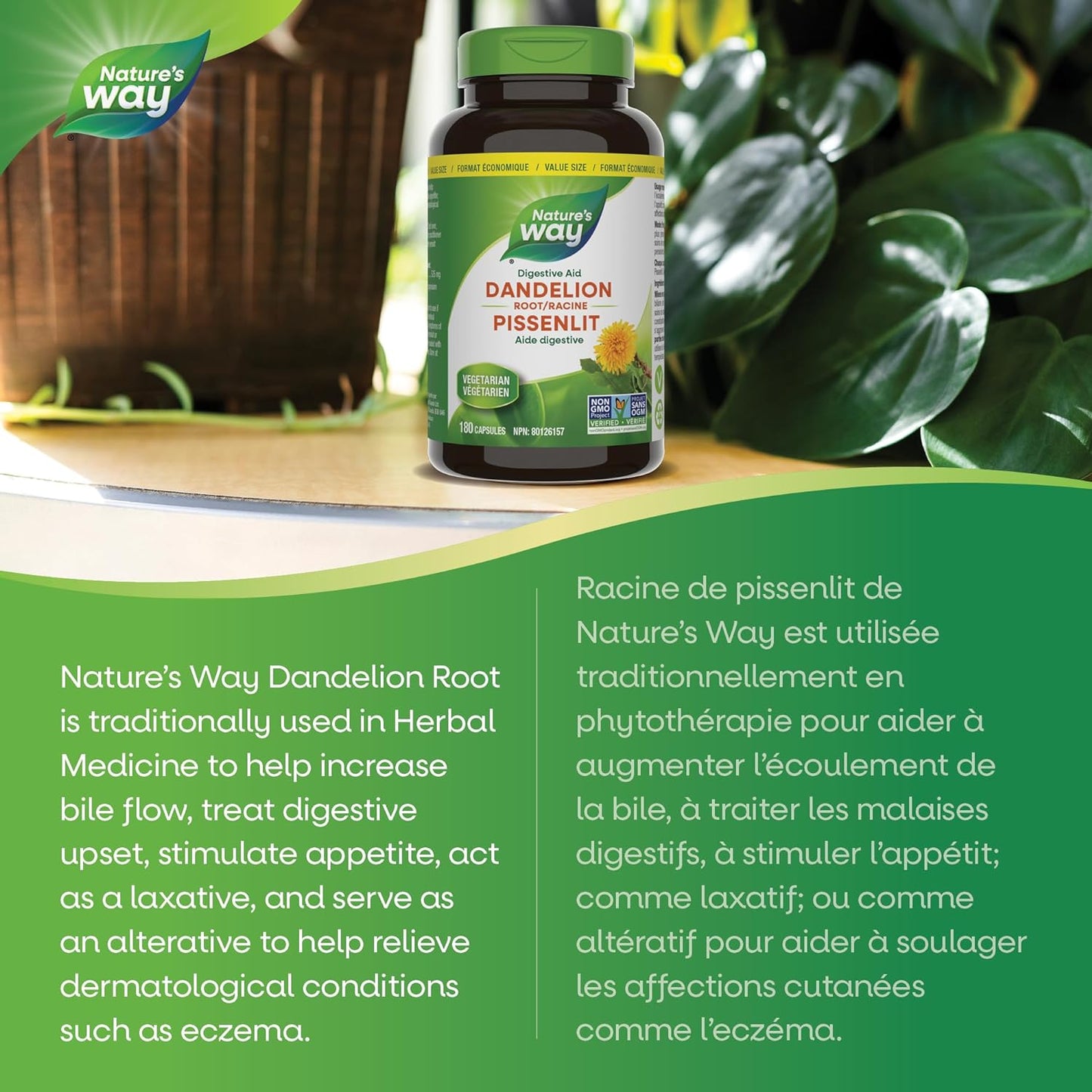 Nature's Way 蒲公英根 - 消化补充剂 - 利尿泻药 - 非转基因认证 - 180 粒素食胶囊，超值装